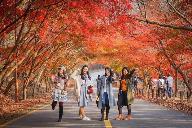 Giả gái xuất sắc đã đành, BB Trần bắt trend du lịch còn đỉnh hơn: Đến Hàn Quốc thời điểm hot nhất năm, chụp bừa cũng có 7749 ảnh đẹp - Ảnh 7.