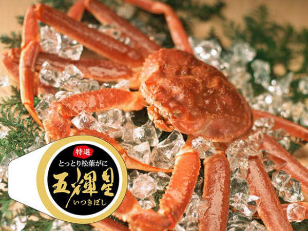 Choáng váng: Cận cảnh con cua biển vừa xác lập kỷ lục đắt nhất thế giới ở Nhật với giá hơn 1 tỷ đồng! - Ảnh 1.