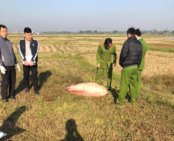 Phú Thọ: Người đàn ông nghi trộm lợn để lại xe máy và tang vật rồi bỏ chạy khi bị công an truy đuổi - Ảnh 1.