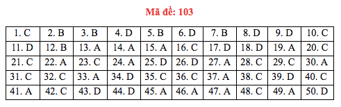 Đáp án đề thi Toán THPT quốc gia 2019 (đã xong tất cả 24 mã đề) - Ảnh 3.