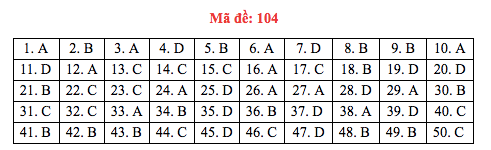 Đáp án đề thi Toán THPT quốc gia 2019 (đã xong tất cả 24 mã đề) - Ảnh 4.