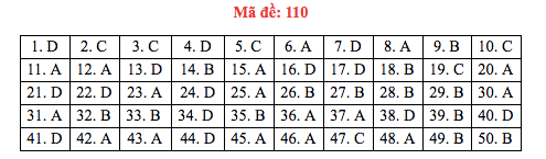 Đáp án đề thi Toán THPT quốc gia 2019 (đã xong tất cả 24 mã đề) - Ảnh 10.