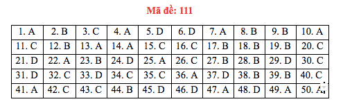 Đáp án đề thi Toán THPT quốc gia 2019 (đã xong tất cả 24 mã đề) - Ảnh 11.