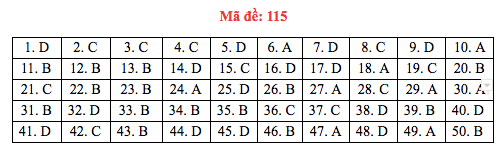 Đáp án đề thi Toán THPT quốc gia 2019 (đã xong tất cả 24 mã đề) - Ảnh 15.