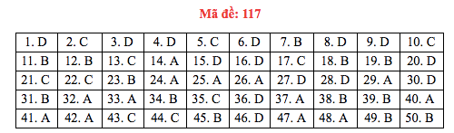 Đáp án đề thi Toán THPT quốc gia 2019 (đã xong tất cả 24 mã đề) - Ảnh 17.