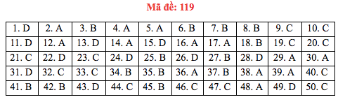 Đáp án đề thi Toán THPT quốc gia 2019 (đã xong tất cả 24 mã đề) - Ảnh 19.