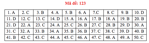 Đáp án đề thi Toán THPT quốc gia 2019 (đã xong tất cả 24 mã đề) - Ảnh 23.