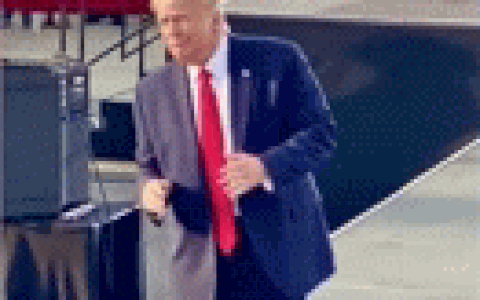 Điệu nhảy hài hước của Tổng thống Trump mùa tranh cử bất ngờ trở thành hiện tượng dance cover triệu view gây sốt MXH - Ảnh 1. Điệu nhảy hài hước của Tổng thống Trump mùa tranh cử bất ngờ trở thành hiện tượng dance cover triệu view gây sốt MXH - Ảnh 1.