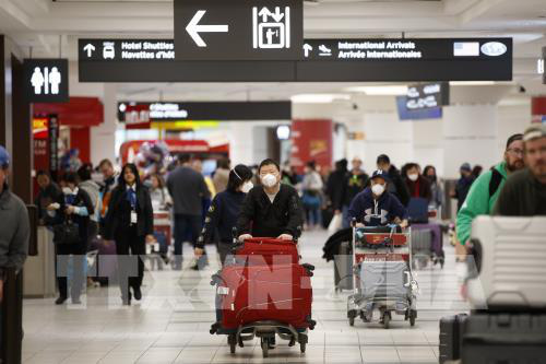Bộ Y tế phát thông báo khẩn tìm kiếm hành khách trên 7 chuyến bay có ca nhiễm Covid-19 - Ảnh 1.