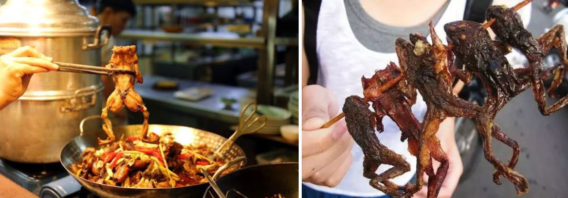 Khiến người Hàn đi từ sốc văn hoá đến tò mò muốn thử, món đặc sản nào của Việt Nam mà lại thú vị đến vậy? - Ảnh 3. Khiến người Hàn đi từ sốc văn hoá đến tò mò muốn thử, món đặc sản nào của Việt Nam mà lại thú vị đến vậy? - Ảnh 3.