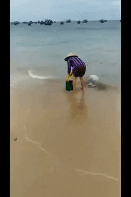Clip: Người phụ nữ thản nhiên mang rác đổ xuống biển, bị nhắc nhở vẫn thách thức Làm gì được tao? - Ảnh 2.