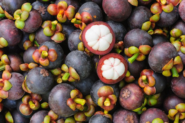 10 loại quả hiếm có khó tìm nhất thế giới nhưng Việt Nam đã có 4 trong số đó, còn mọc nhiều là đằng khác - Ảnh 10.