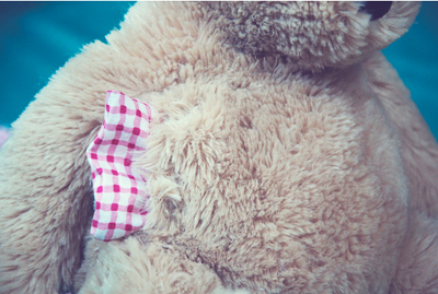 Biến hóa gấu teddy thành túi sưởi ấm áp 6