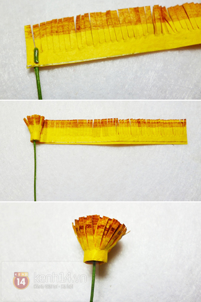 Khéo tay cắt hoa sao giấy y hệt hoa thật 4