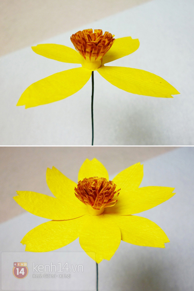 Khéo tay cắt hoa sao giấy y hệt hoa thật 5