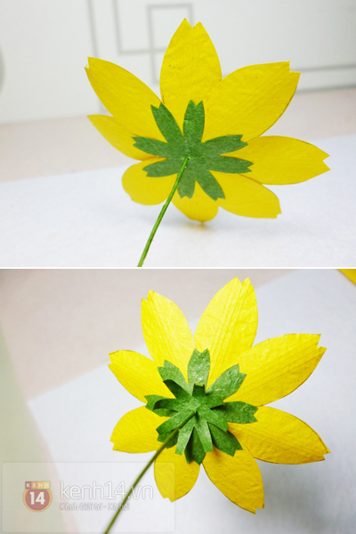 Khéo tay cắt hoa sao giấy y hệt hoa thật 6