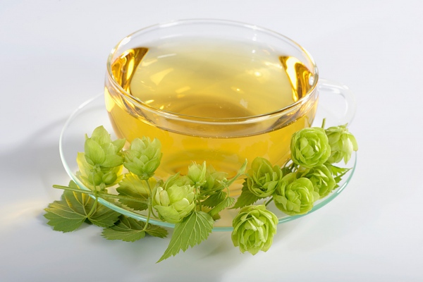 Kết quả hình ảnh cho Giảm cân dễ dàng hơn khi thời tiết se lạnh