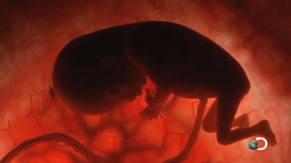 Vòng luân hồi: Tìm lời giải chuyện có một hay nhiều... kiếp sống 9