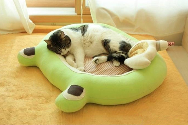 Mẫu giường nệm êm ái cho chú mèo cưng 10