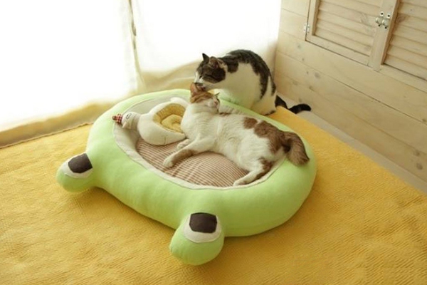 Mẫu giường nệm êm ái cho chú mèo cưng 11