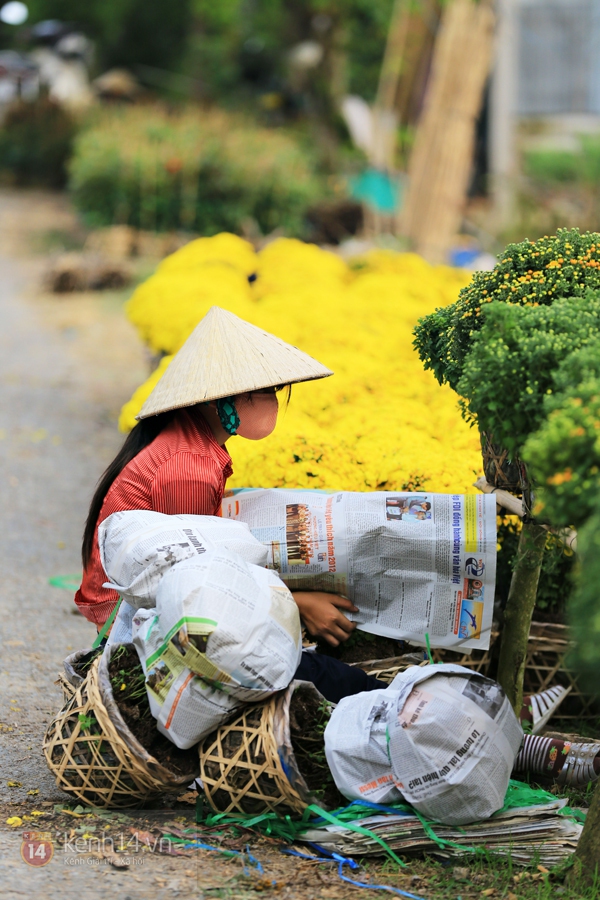 Đẹp tuyệt vời làng hoa Sa Đéc nổi tiếng miền Tây Nam Bộ 5