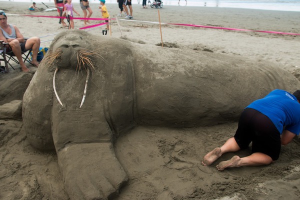 Những tác phẩm ấn tượng tại cuộc thi điêu khắc trên cát tại New Zealand 9