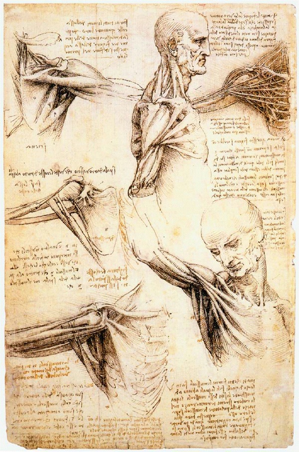 Các ý tưởng đi trước thời đại của Leonardo Da Vinci 10