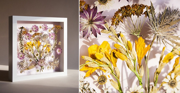 Cách làm tranh hoa khô cực "ảo diệu" theo phong cách 3D