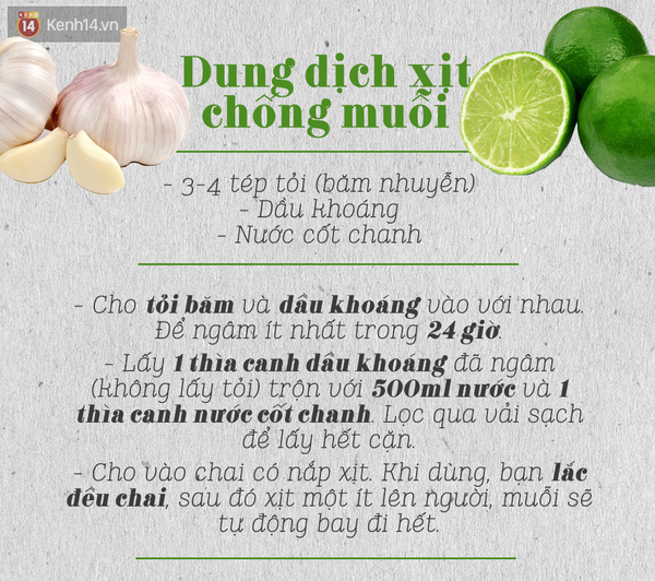 Tổng hợp những cách đuổi muỗi hiệu quả nhất để phòng chống dịch Zika - Ảnh 5.