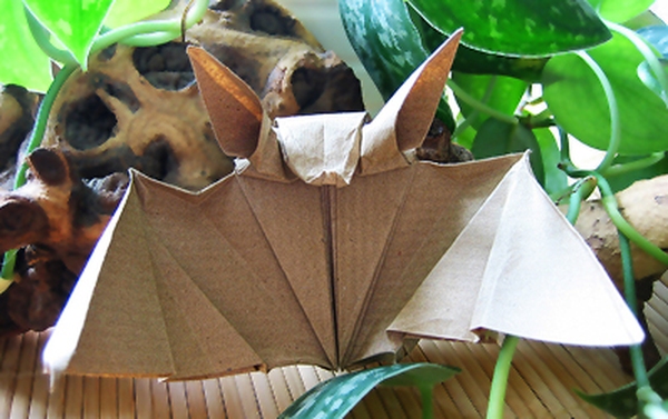 Nghiên cứu gấp dơi origami vừa dễ vừa xinh
