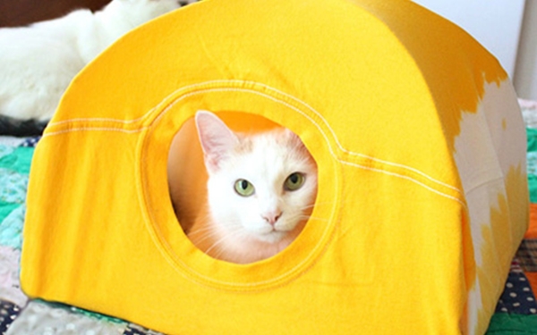 Chỉ bạn cách tận dụng áo thun cũ làm "nhà" cho mèo cưng