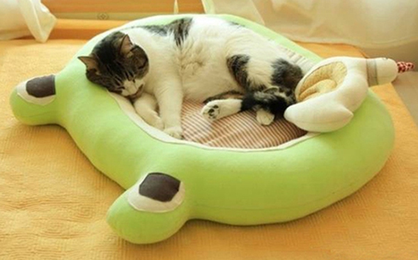 Khéo tay may giường nệm êm ái cho chú mèo cưng