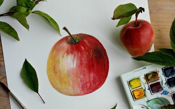 Học cách vẽ quả táo theo phong cách màu nước
