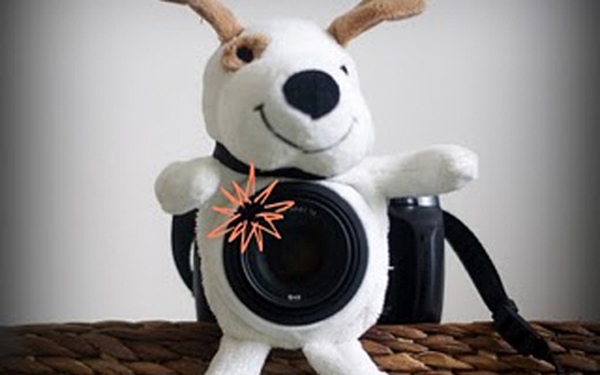 Ngụy trang cho chiếc máy ảnh thành em cún "kute"