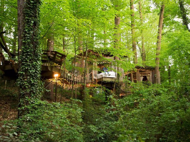 Bên trong ngôi nhà trên cây mộng mơ đang gây sốt trên Airbnb, hàng trăm nghìn người muốn được tới thăm một lần - Ảnh 23. Bên trong ngôi nhà trên cây mộng mơ đang gây sốt trên Airbnb, hàng trăm nghìn người muốn được tới thăm một lần - Ảnh 23.