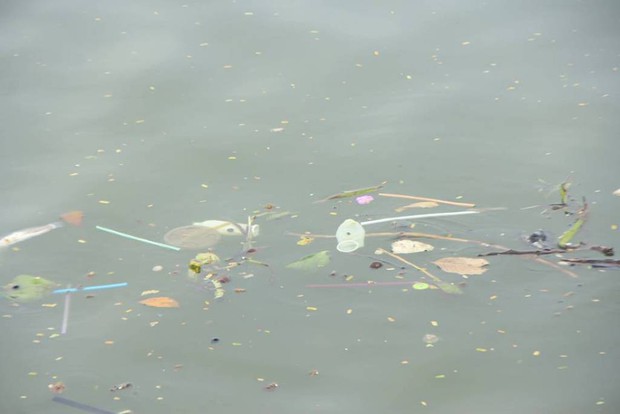 H&agrave; Nội: Bao cao su nổi trắng một g&oacute;c hồ T&acirc;y, người d&acirc;n tr&egrave;o thuyền ra vớt - Ảnh 8.