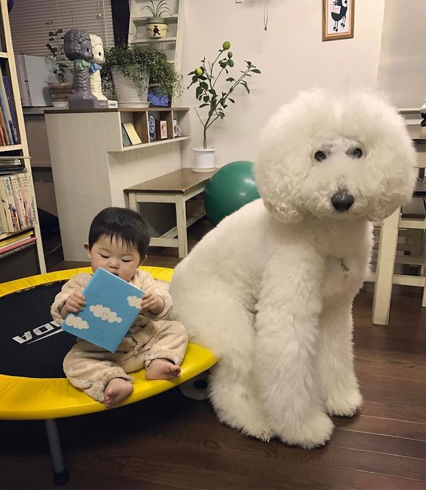 Ngắm nhìn tình bạn đáng yêu của bé gái và chú chó poodle - Ảnh 25.