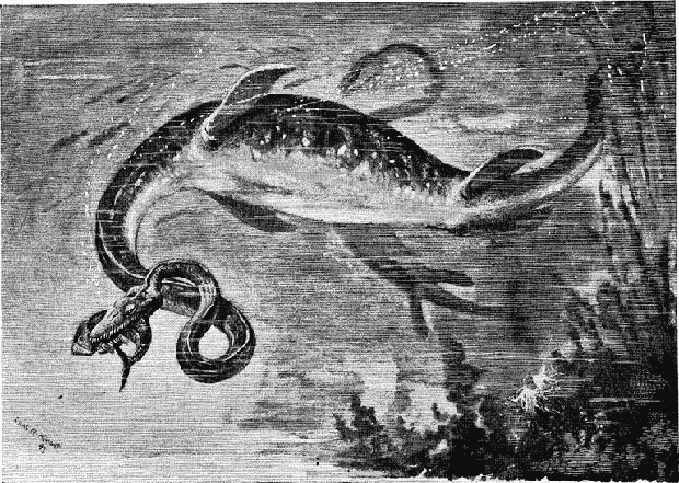 Quái vật hồ Loch Ness và những sự thật chưa kể về huyền thoại gây tranh cãi nhất lịch sử - Ảnh 3.