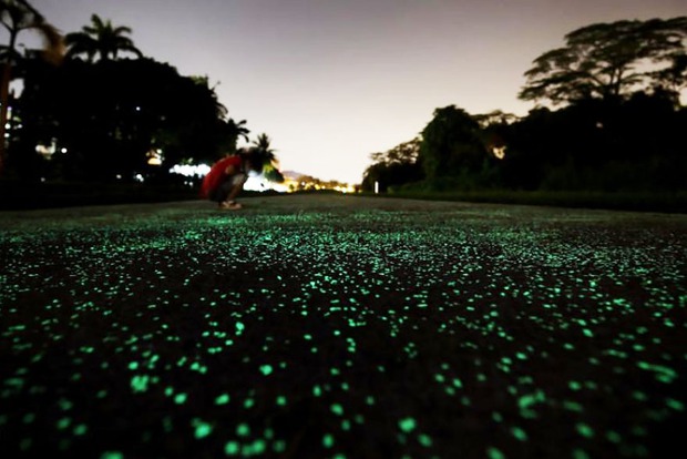 glow-in-the-dark-rail-corridor-singapore