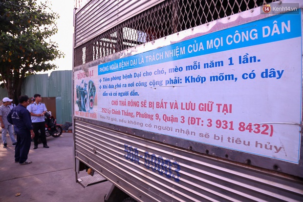 Chỉ tốn 200k nhưng chú chó được PR mạnh á - 1