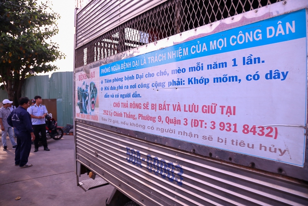 Clip: Tiếp tục ra quân bắt chó thả rông ở Sài Gòn, nhiều chó nhà bị Đội săn bắt “tóm” khiến chủ ngơ ngác - Ảnh 3. Bảng tuyên truyền được dán bên hông thùng xe chuyên dụng để chở chó.
