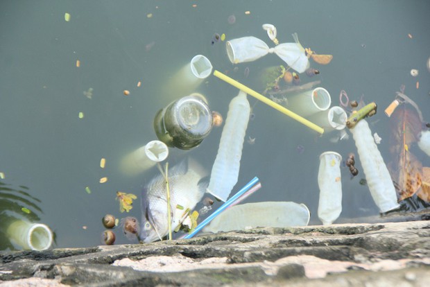 H&agrave; Nội: Bao cao su nổi trắng một g&oacute;c hồ T&acirc;y, người d&acirc;n tr&egrave;o thuyền ra vớt - Ảnh 3.