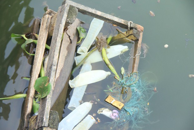 H&agrave; Nội: Bao cao su nổi trắng một g&oacute;c hồ T&acirc;y, người d&acirc;n tr&egrave;o thuyền ra vớt - Ảnh 5.