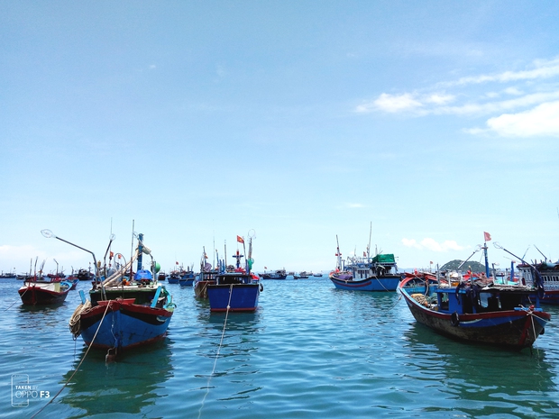 Xem xong bộ ảnh này, bạn sẽ hiểu vì sao người ta gọi Phú Yên là thiên đường mới của Việt Nam! - Ảnh 6. Xem xong bộ ảnh này, bạn sẽ hiểu vì sao người ta gọi Phú Yên là thiên đường mới của Việt Nam! - Ảnh 6.