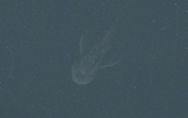 Quái vật hồ Loch Ness và những sự thật chưa kể về huyền thoại gây tranh cãi nhất lịch sử - Ảnh 5.