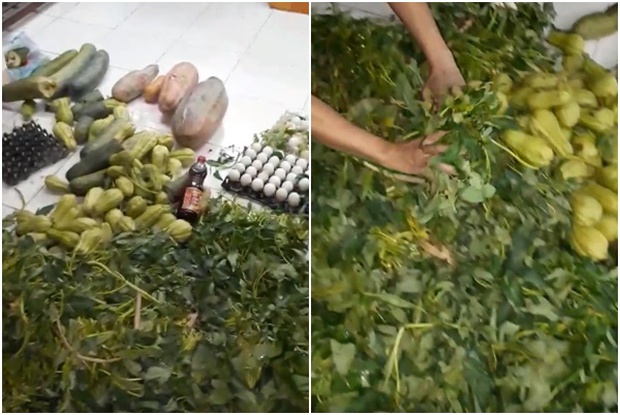 Clip: Phụ huynh chặn bắt xe chở rau củ thối rữa vào trường tiểu học - Ảnh 3. Clip: Phụ huynh chặn bắt xe chở rau củ thối rữa vào trường tiểu học - Ảnh 3.
