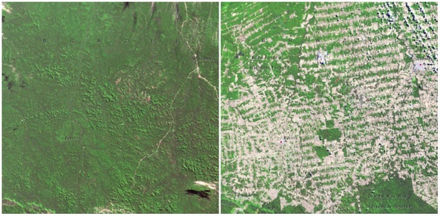 Lục lọi kho ảnh của NASA để thấy Trái đất đã thay đổi khủng khiếp đến thế nào - Ảnh 11.