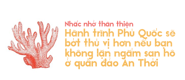 Chinh phục đảo ngọc Phú Quốc cùng đồng bọn: tưởng không vui mà vui không tưởng! - Ảnh 16. Chinh phục đảo ngọc Phú Quốc cùng đồng bọn: tưởng không vui mà vui không tưởng! - Ảnh 16.
