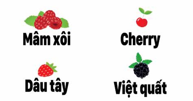 Chỉ 1% trong 7 tỷ người mới giải được câu đố chia bánh cupcake siêu khoai - Ảnh 2. Chỉ 1% trong 7 tỷ người mới giải được câu đố chia bánh cupcake siêu khoai - Ảnh 2.