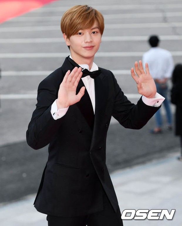 Thảm đỏ Oscar Hàn Quốc: Hoa hậu Hàn đẹp nhất thế giới đẹp xuất sắc, nữ idol bỗng bật lên vì quá xinh - Ảnh 12.